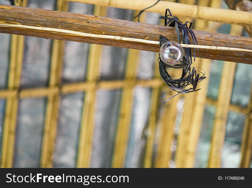 Shallow Focus Photography Of Light Bulb