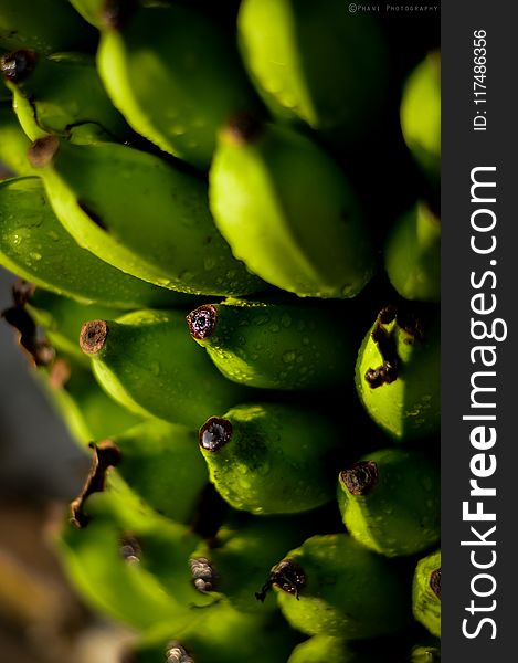 Shallow Focus Photography of Unripe Bananas