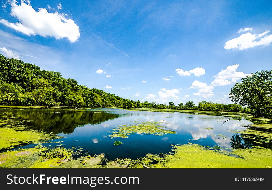 Landscape Photography of Body of Water Near Trees