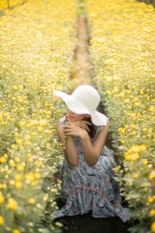 Portrait Of A Beautiful Woman In A Field With Flowers Stock Image