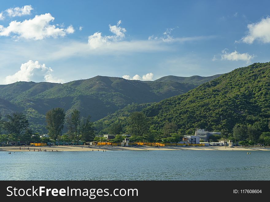 Forest Covered Mountain Near The Ocean