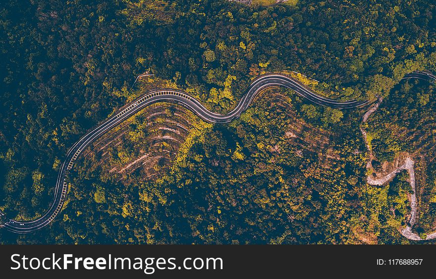 Aerial Photography of Road Beside Forest