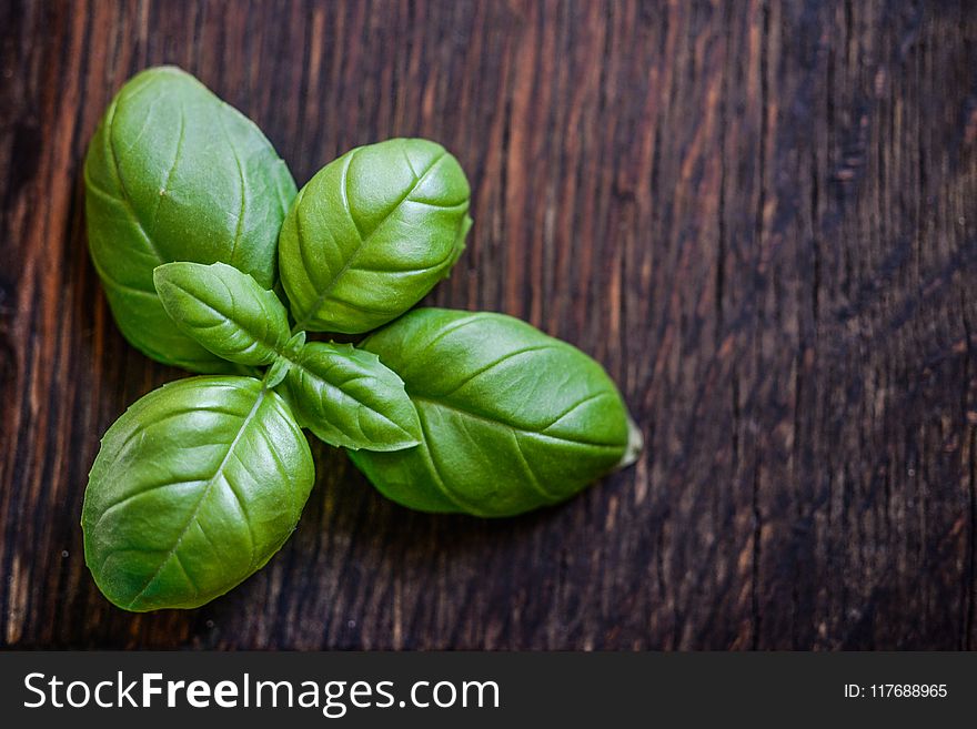 Green Leaf Plant on Brown Wooden Surface