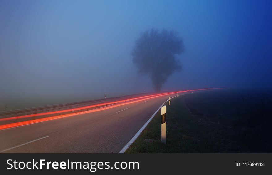 Time-lapse Photography of Fog Filled Road Near Tree