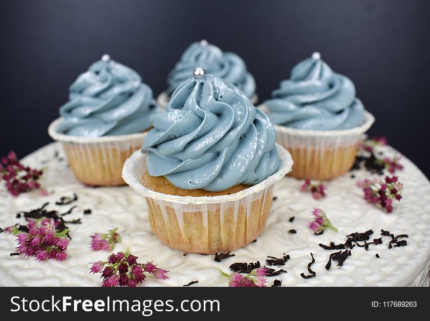 Four Cupcakes Photography