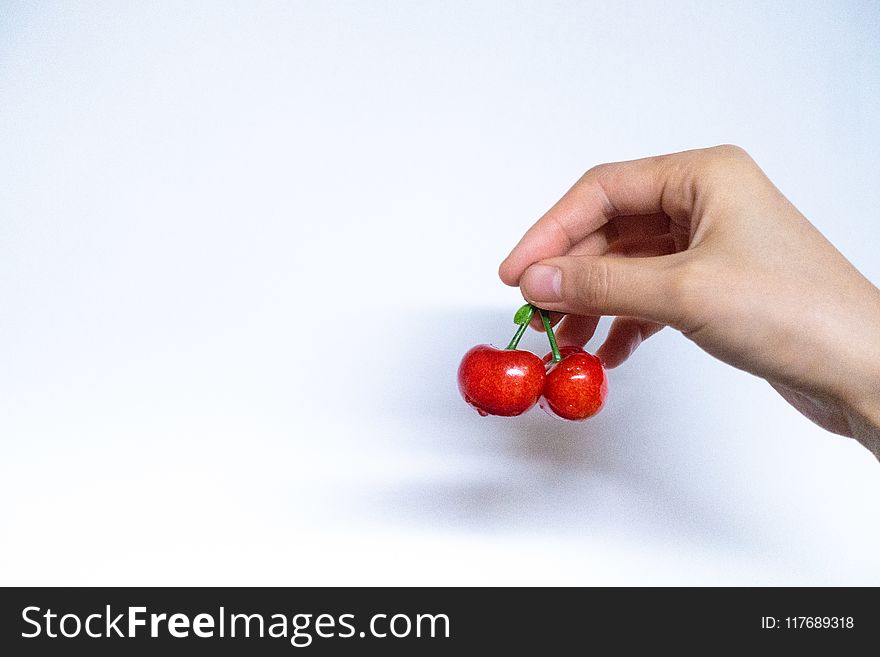 Person Holding Red Cherries