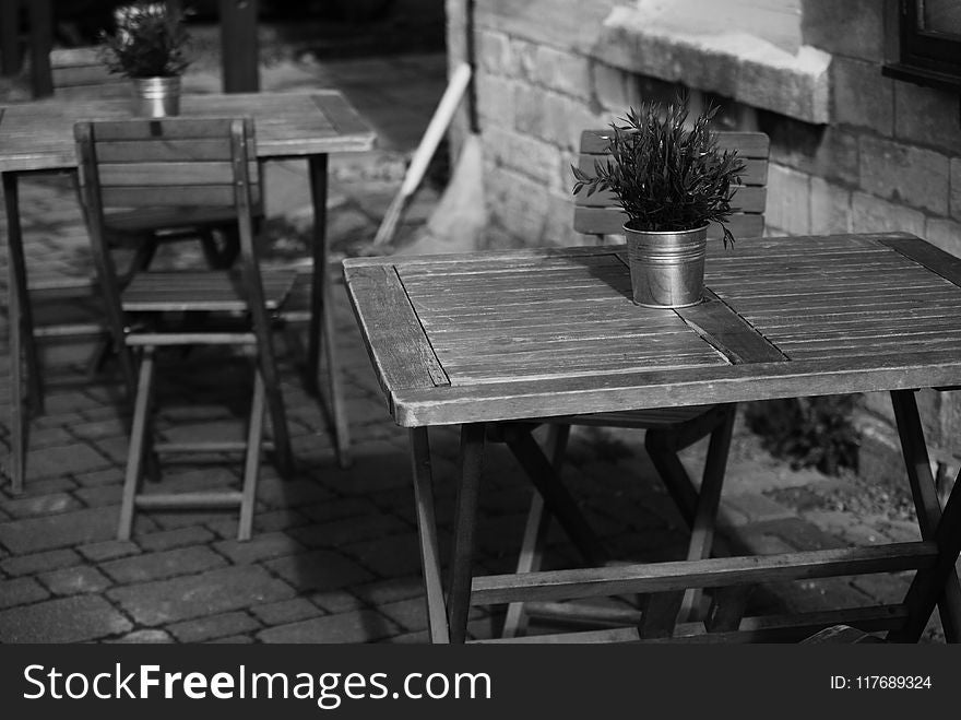 Photo of Potted Flower on Folding Table