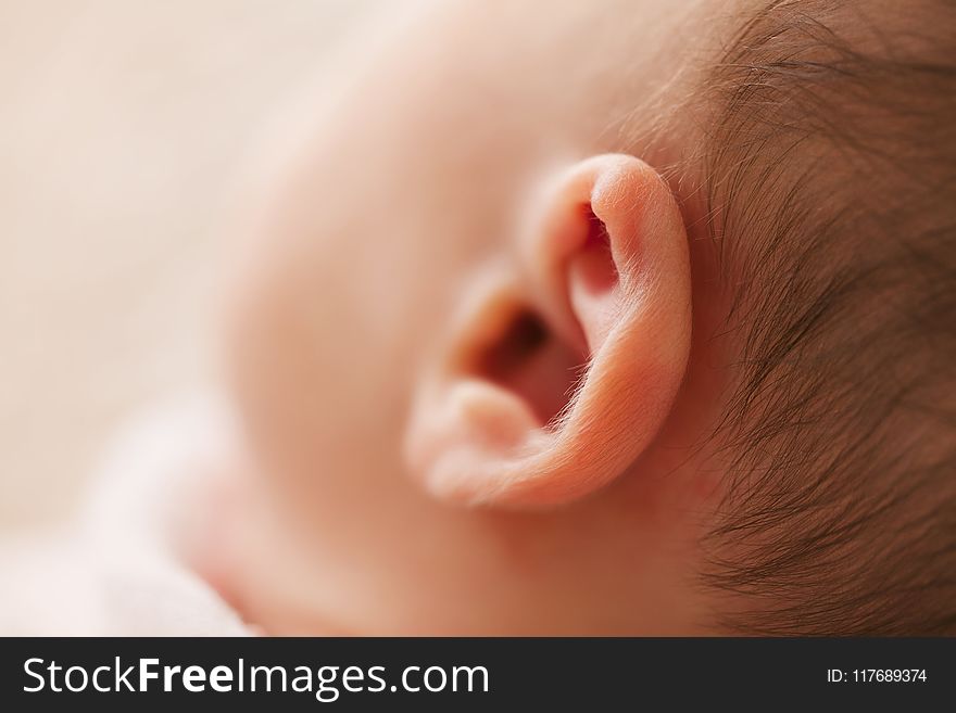 Macro Photography Of Babys Ear