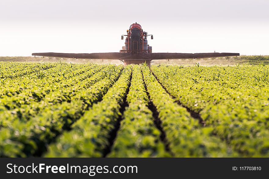 Tractor spraying pesticides on soybean field with sprayer at spring