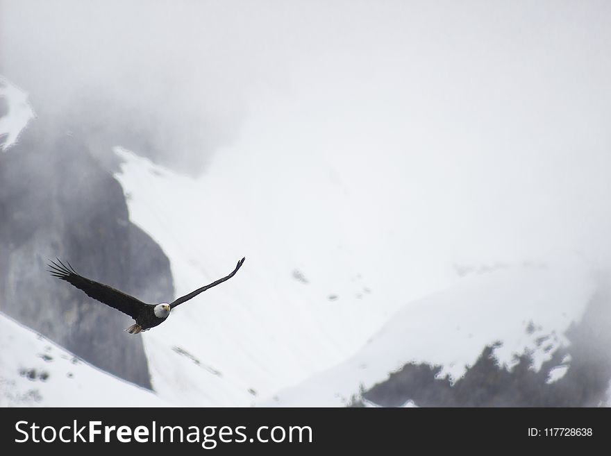 Geological Phenomenon, Sky, Snow, Freezing