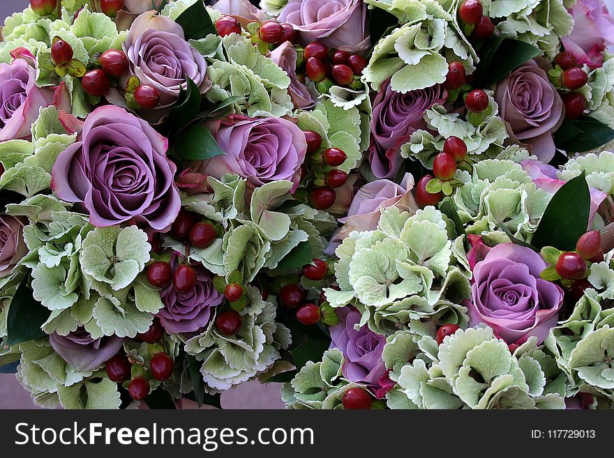 Flower, Floristry, Purple, Flower Arranging