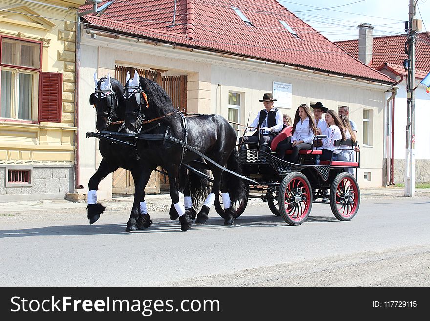 Carriage, Horse And Buggy, Horse Harness, Wagon