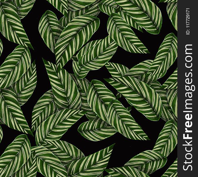 Green, Pattern, Leaf, Design