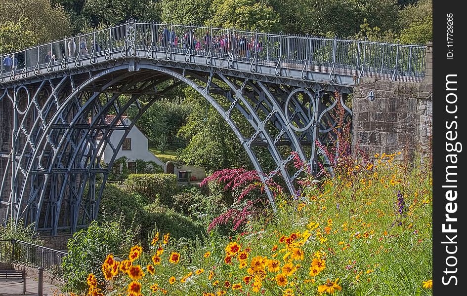 Bridge, Plant, Leaf, Arch Bridge