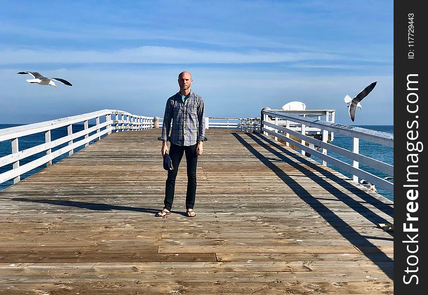 Pier, Sky, Sea, Water