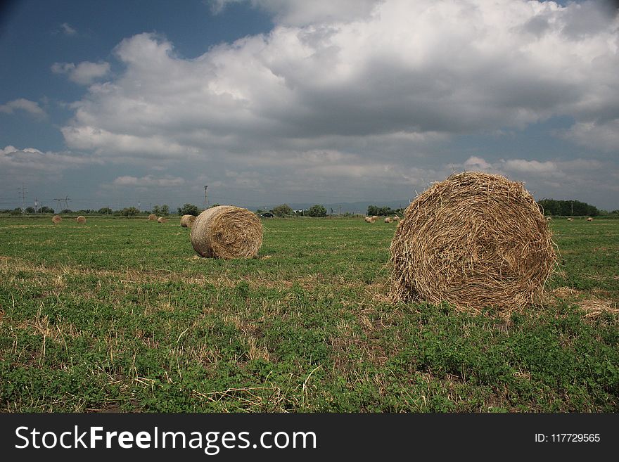 Hay, Field, Grassland, Straw