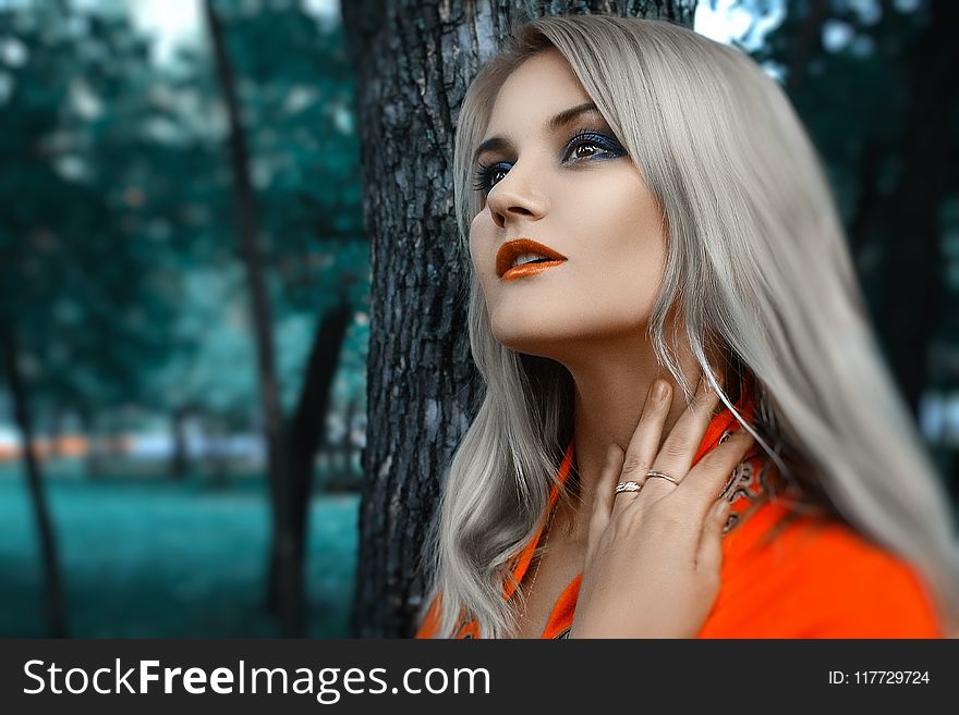 Hair, Beauty, Human Hair Color, Lady