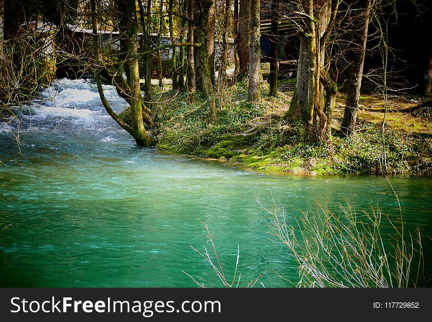 Water, Nature, Body Of Water, Nature Reserve