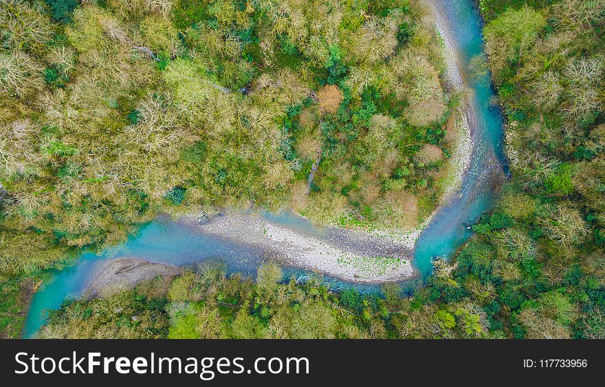 Drone view of Yew and Box-tree Grove, Sochi, Russia