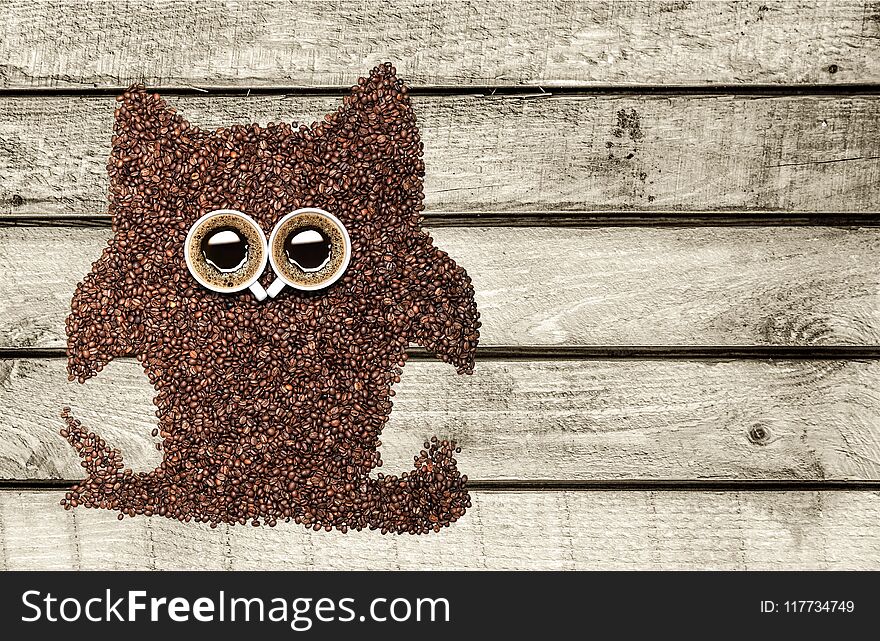 Owl cafe concept bird breakfast nespresso abstract