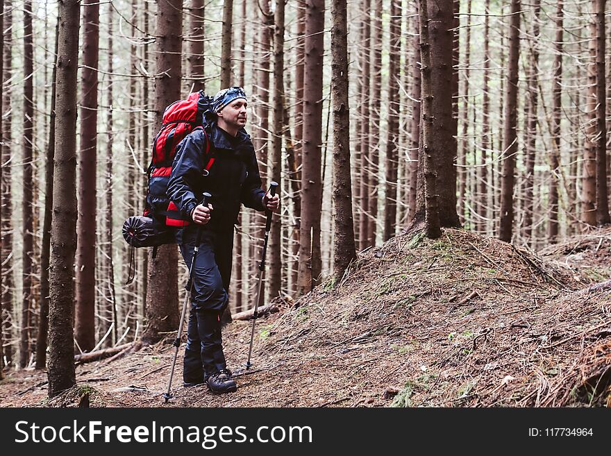 Active healthy man hiking in beautiful forest