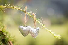 Two Small Metal Hearts Hanging On A Green Conifer Branch On A Brown String With The Garden In The Background Royalty Free Stock Photography