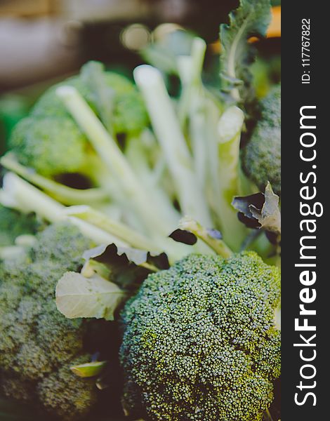 Selective Focus Photography of Broccoli