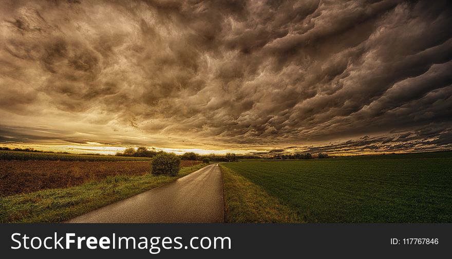 Road In Between Grass Field Under Grey Sky