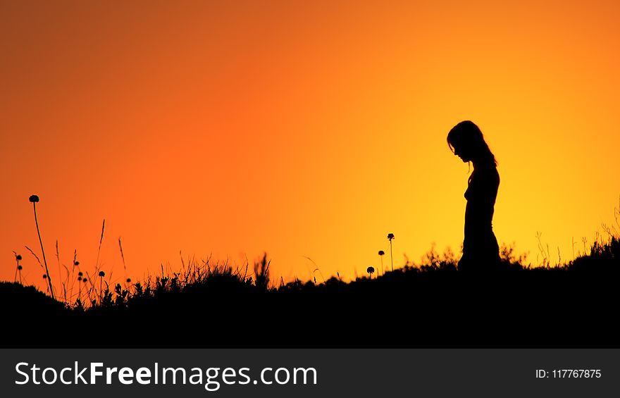 Silhouette Of Woman Standing On Grass Field During Sunset