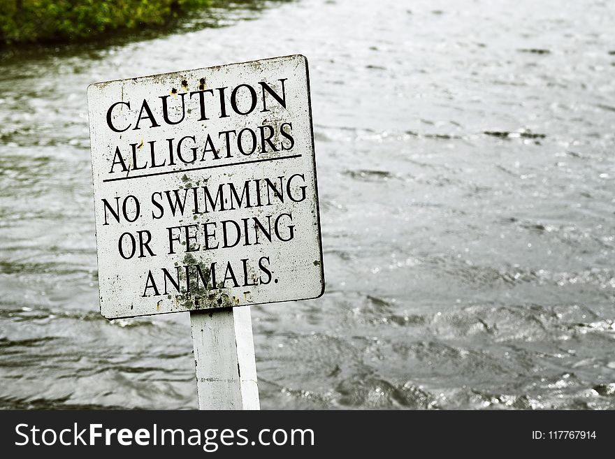 Gray Caution Alligators Label Panel