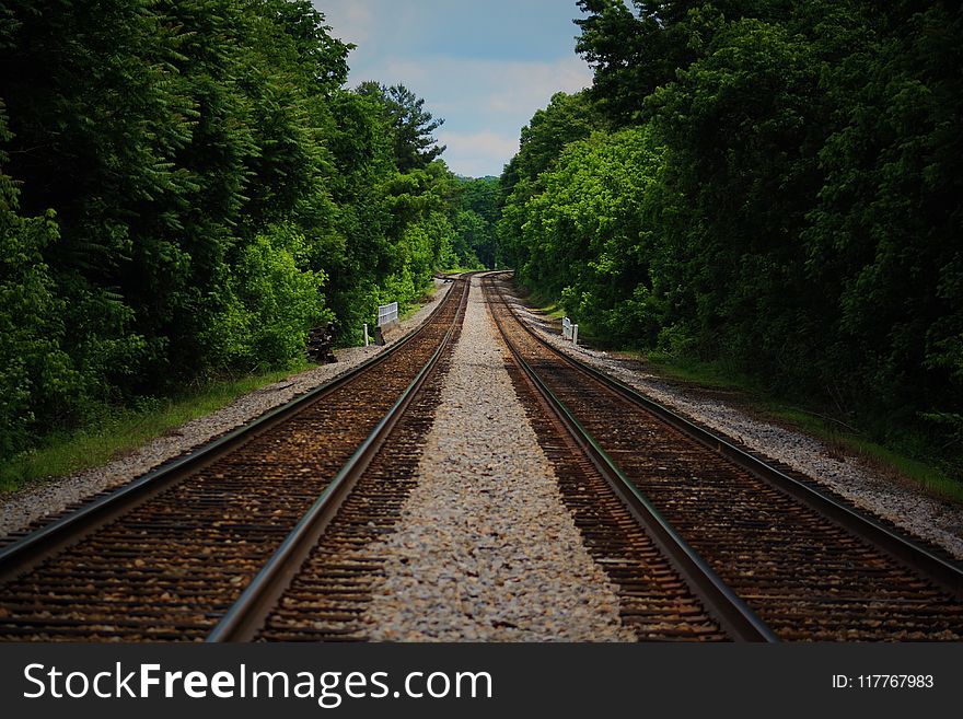 Brown Train Railway Between Green Trees at Daytime