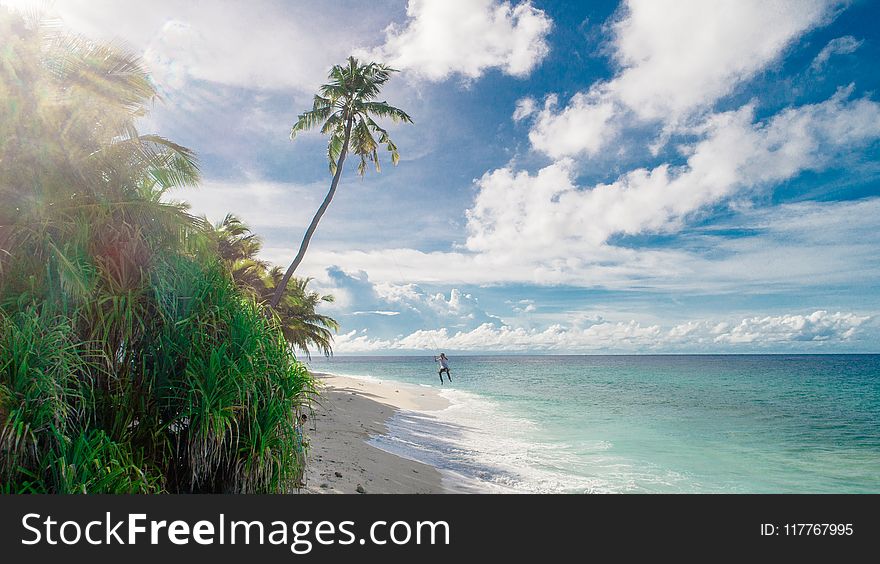 Person Running On Seashore Under White Clouds