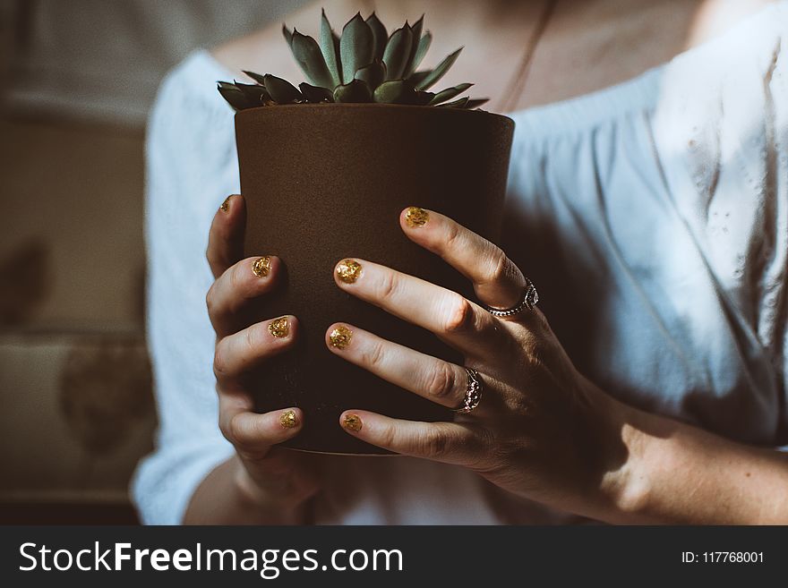 Person Holding Plant Pot