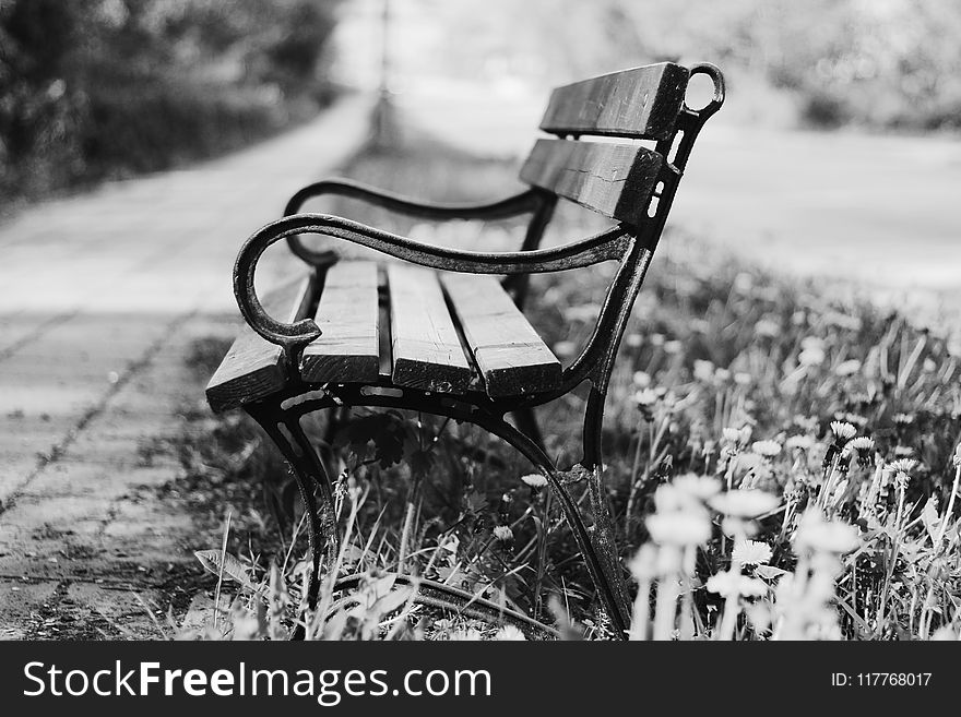 Grayscale Photography of Brown and Black Bench