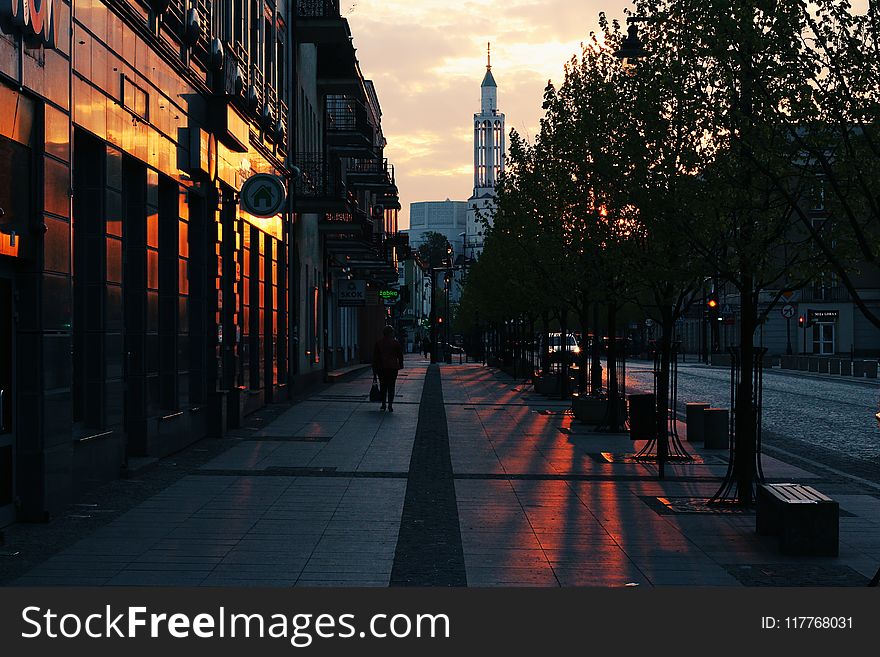 Person Walking On Gray Pavement Near Buildings During Golden Hour