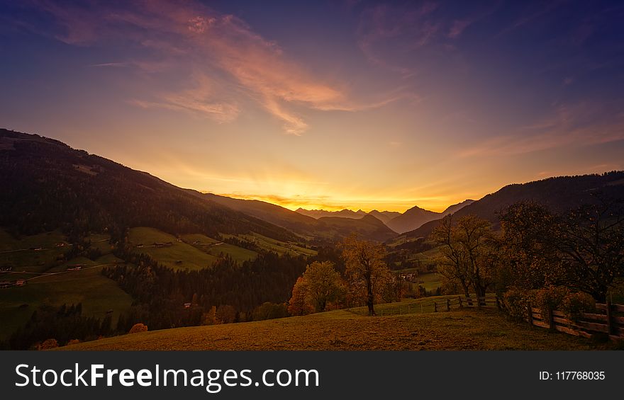 Landscape Photo of Trees during Golden Hour