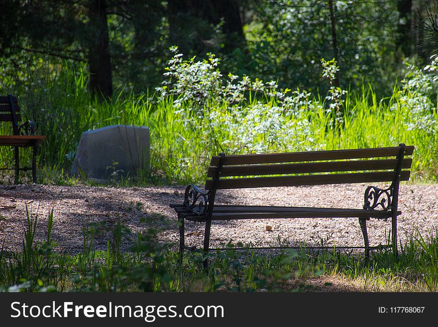 Photo of Wooden Bench on Park