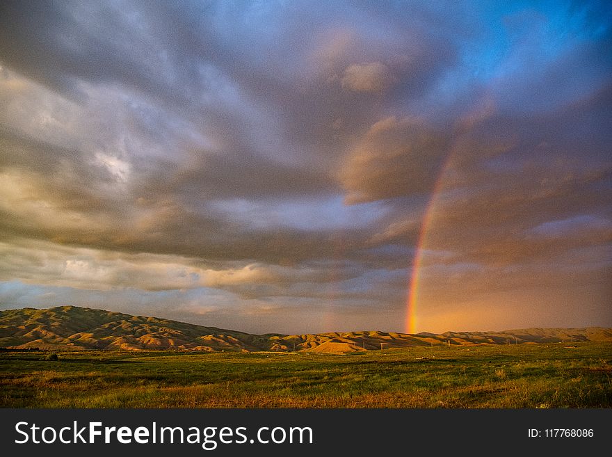 Green Grass Field during Sunset