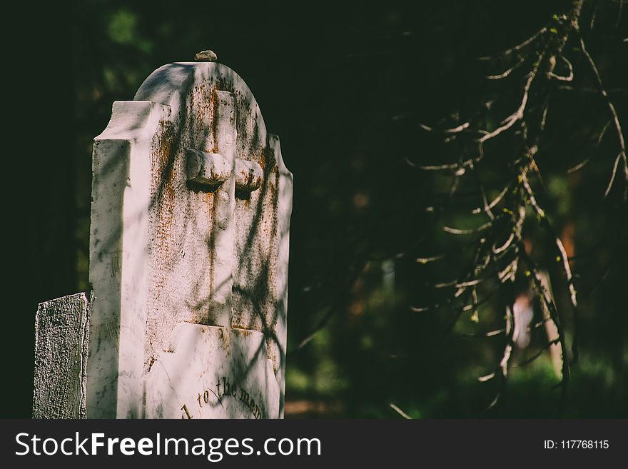 Selective Focus Photography of Tombstone
