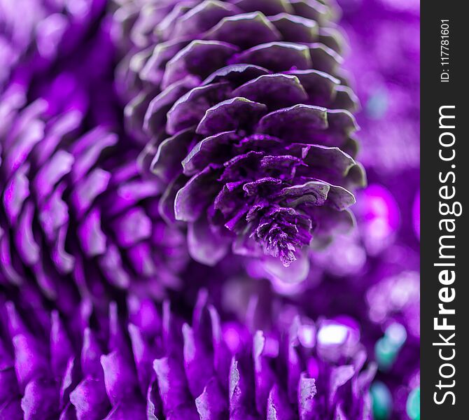 Dry pinecones on the ground nature macro square filtered shot close up