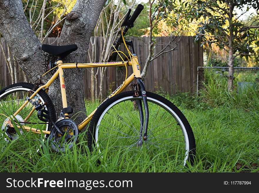 Bicycle, Road Bicycle, Land Vehicle, Bicycle Frame