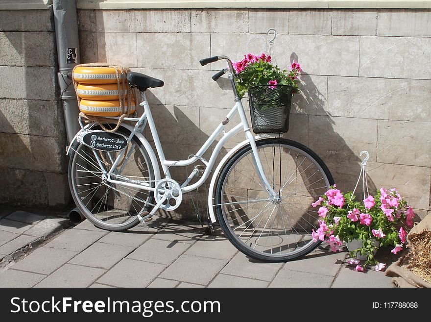 Land Vehicle, Bicycle, Road Bicycle, Vehicle