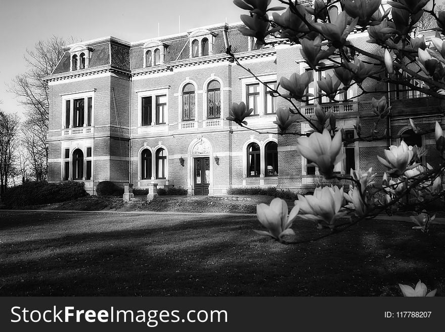 White, Black And White, House, Monochrome Photography
