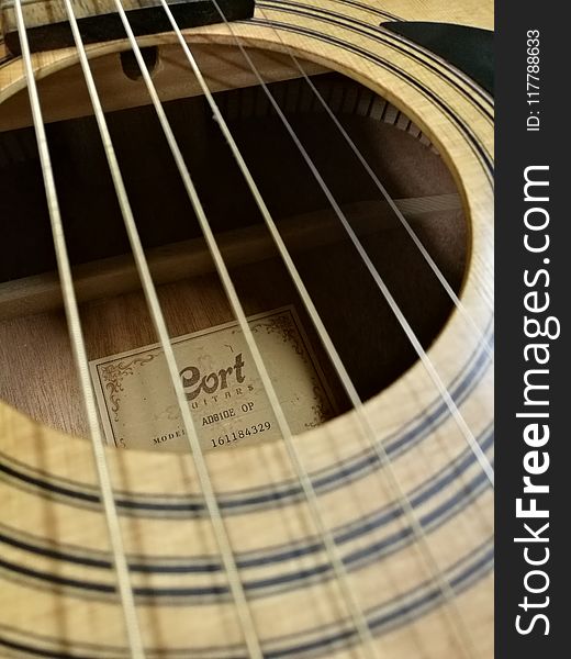 Musical Instrument, Acoustic Guitar, Guitar, Close Up