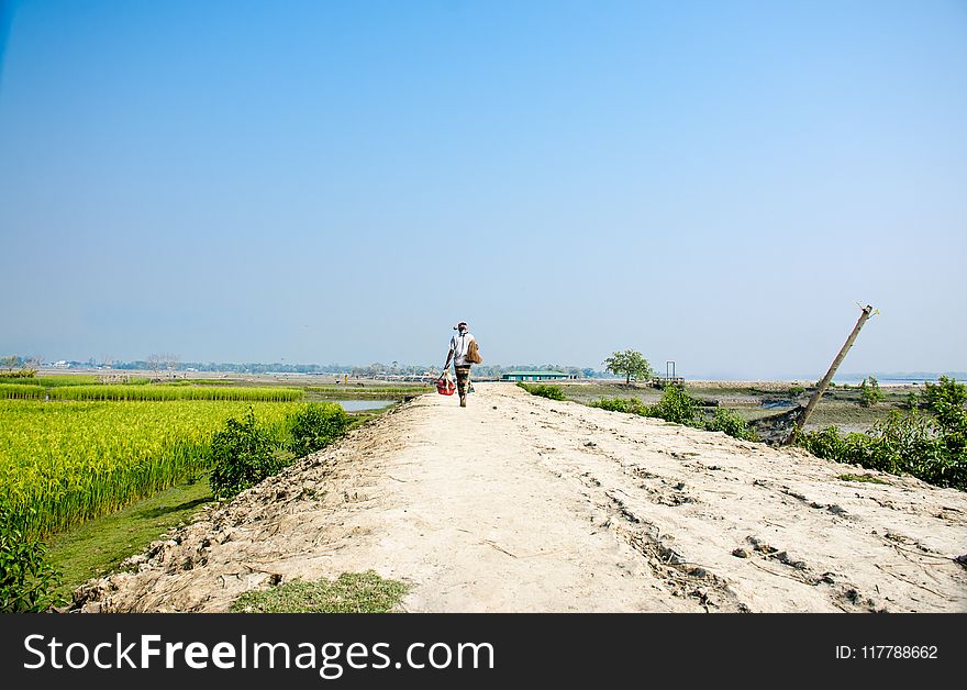 Sky, Field, Road, Agriculture