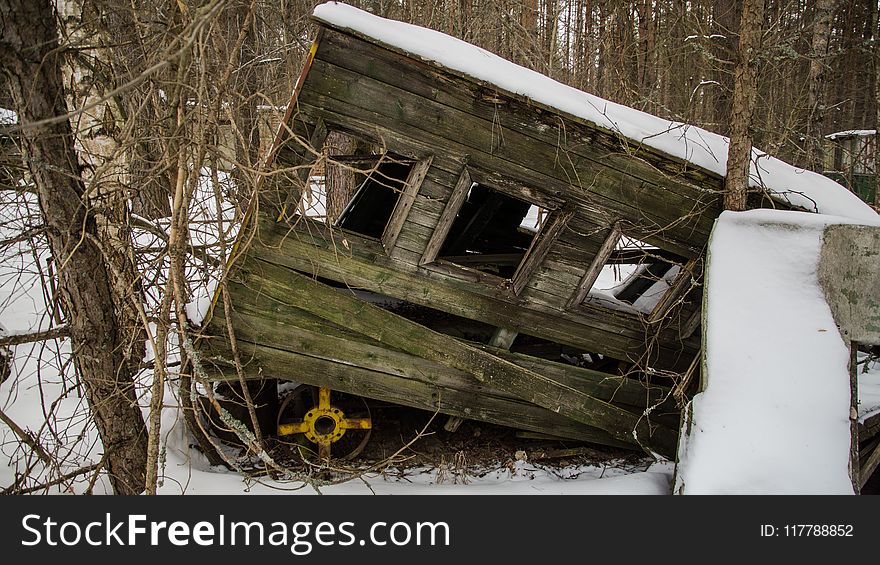 Motor Vehicle, Vehicle, Snow, Tree