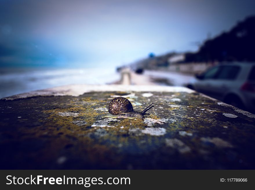 Water, Sea, Body Of Water, Sky