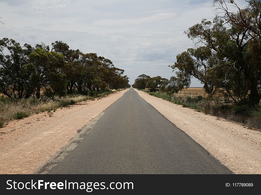 Road, Lane, Path, Sky