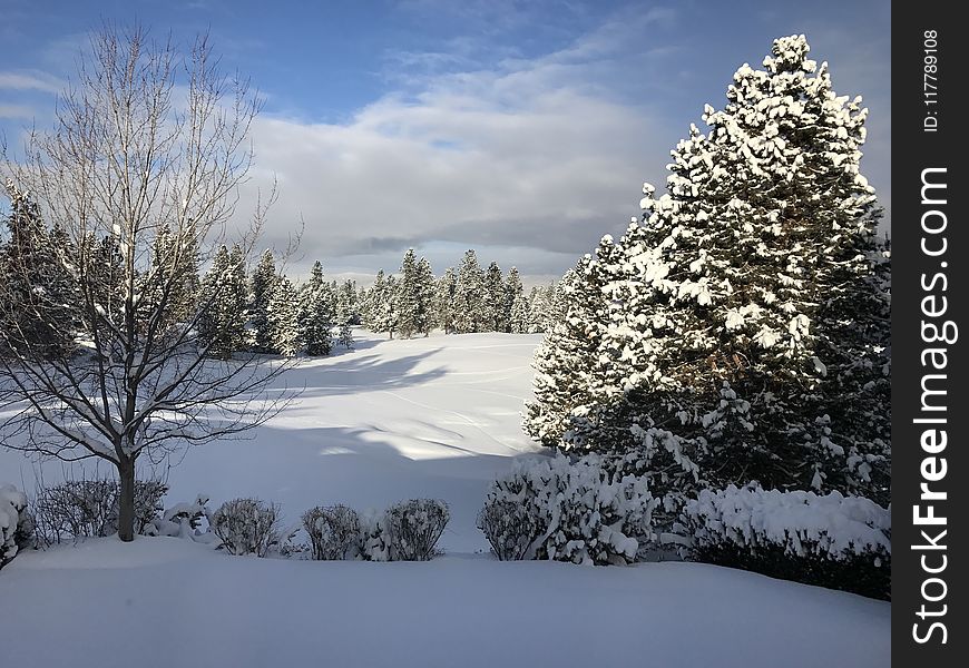 Snow, Winter, Sky, Tree