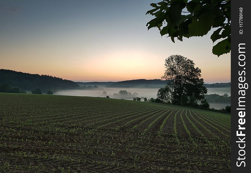 Field, Sky, Dawn, Morning